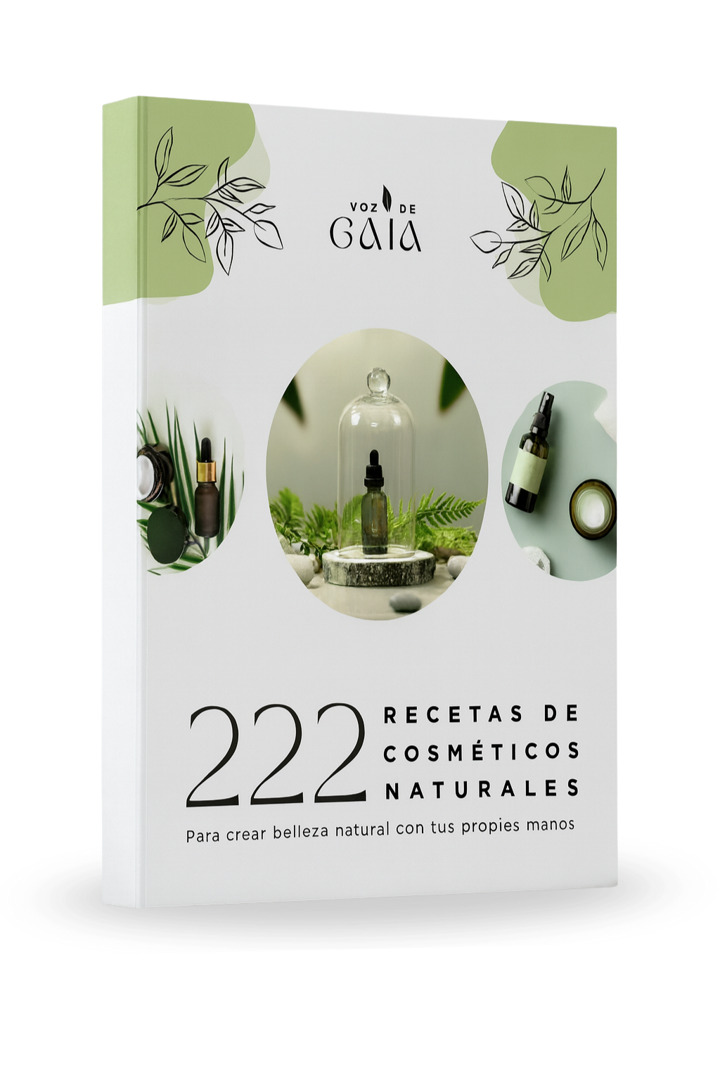 Ebook 222 Recetas